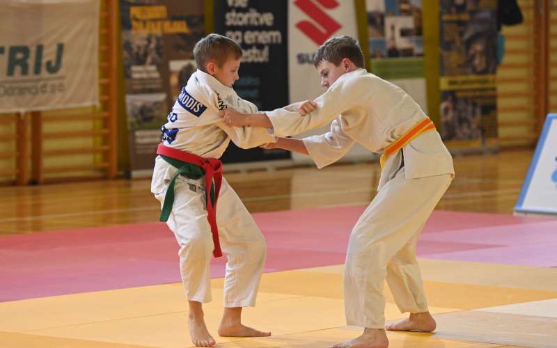 lendava, judo, 47--pokal-lendave