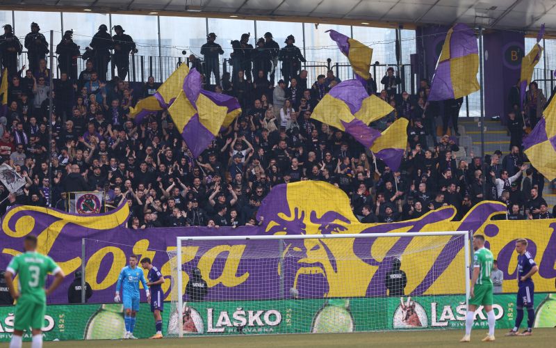 viole.jpg