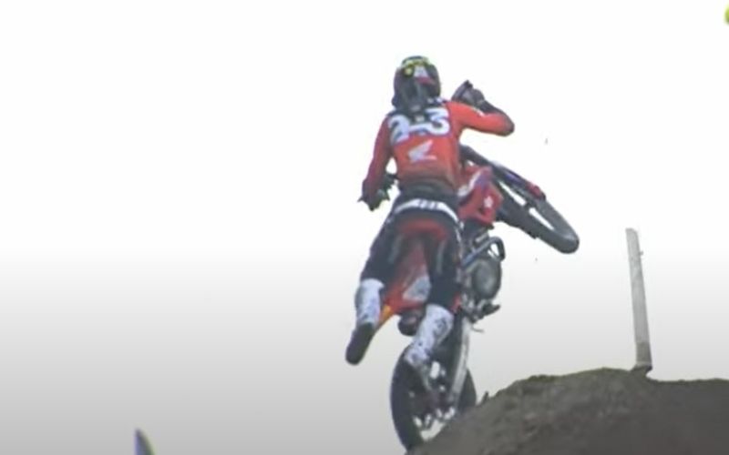gajser.jpg