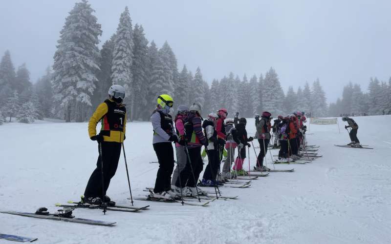 _zzrogla__00_.jpg