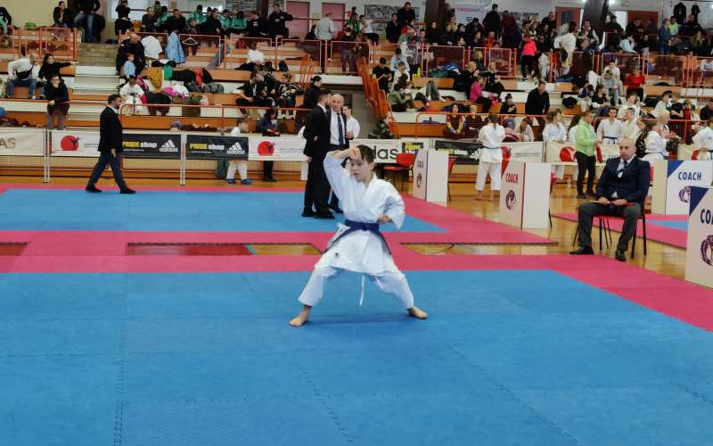 karate, slovenske-konjice, gornja-radgona, pokal-konjiškega-konja
