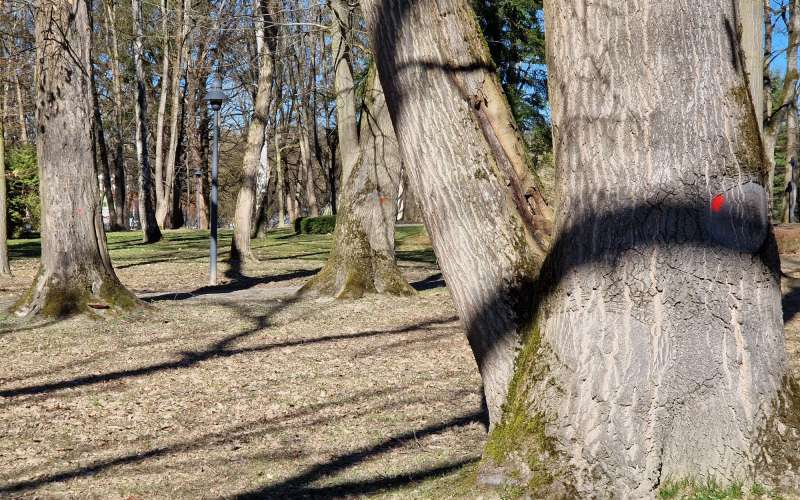 radenci, park, rdeče-pike
