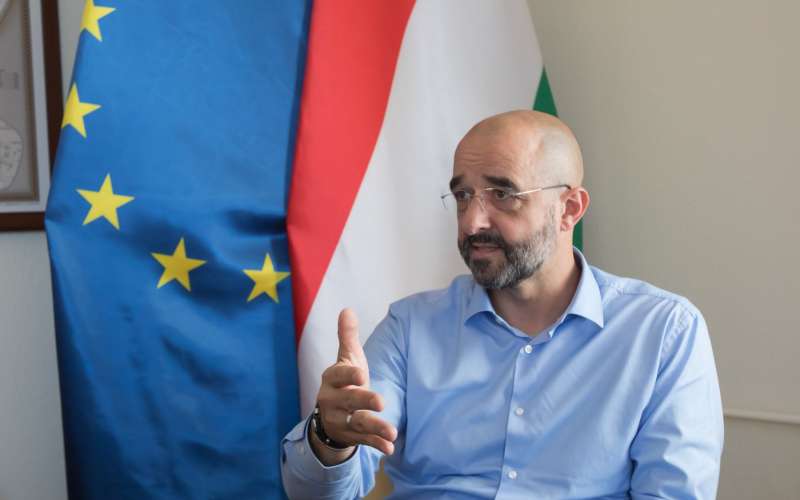 zoltan kovacs.jpg
