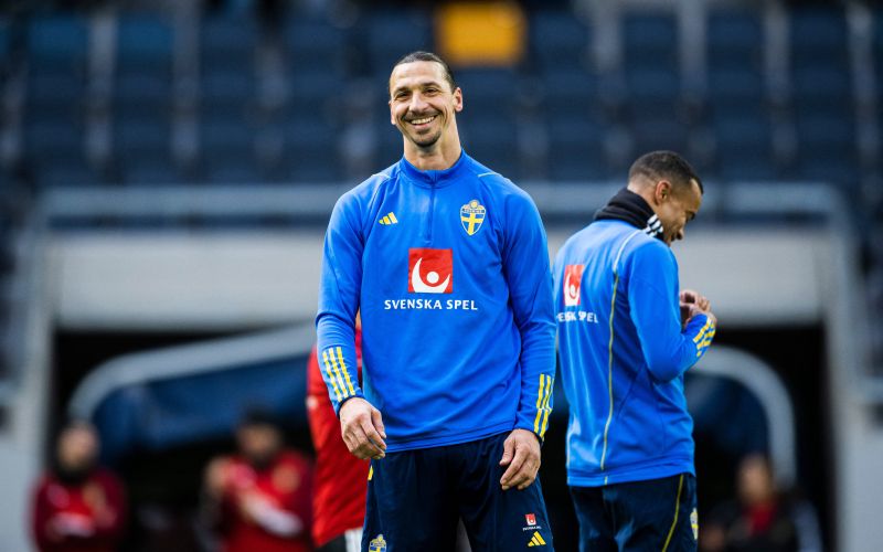 ibrahimović (2).jpg