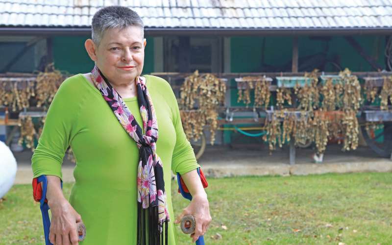 evtanazija alenka curin janzekovic.jpg