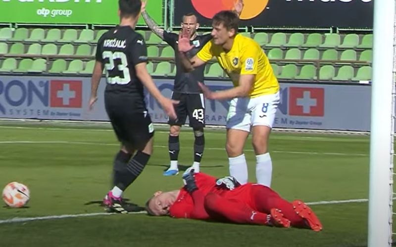 vidovsek.jpg