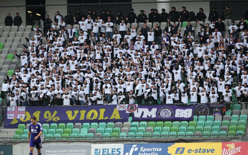 viole.jpg