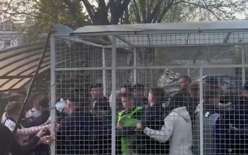 partizan.jpeg