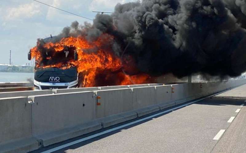 bus.jpg
