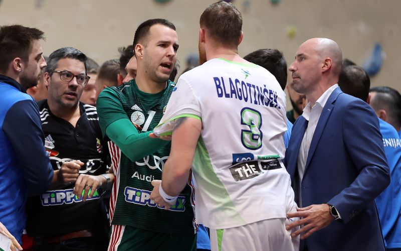 blagotinsek - kavticnik.JPG