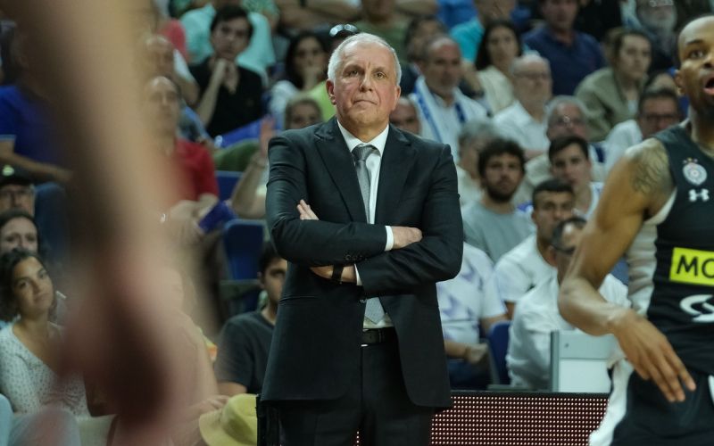 obradovic.jpg