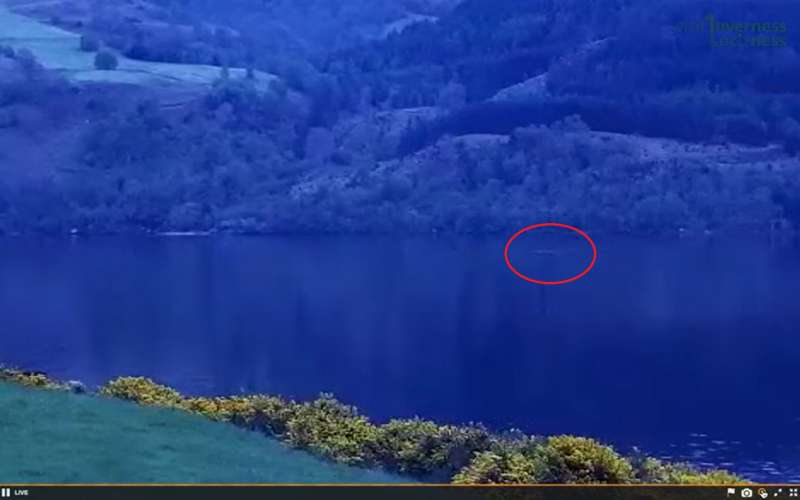 nessie.png