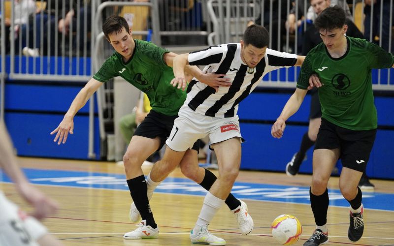 dobovec siliko.jpg
