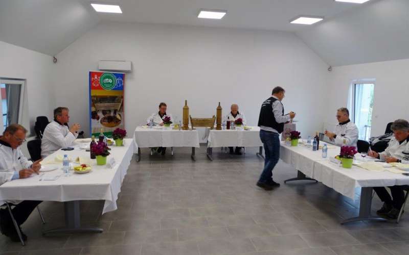 _zsalame__01_.jpg