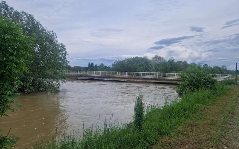 formin, drava