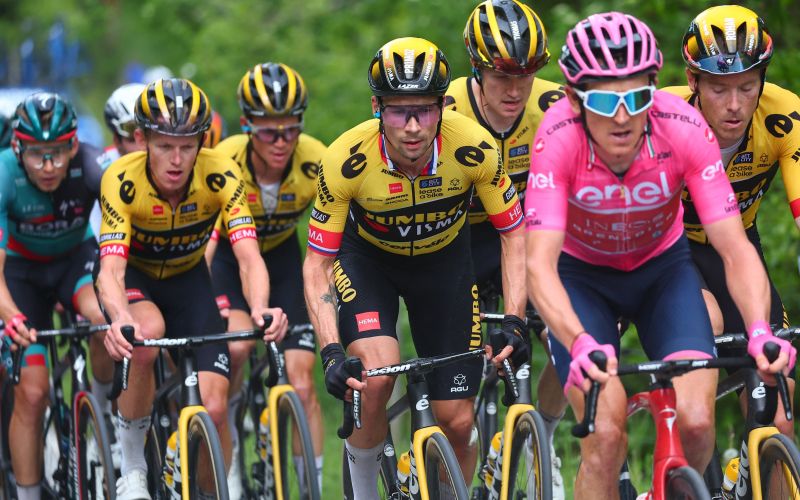 roglic.jpg