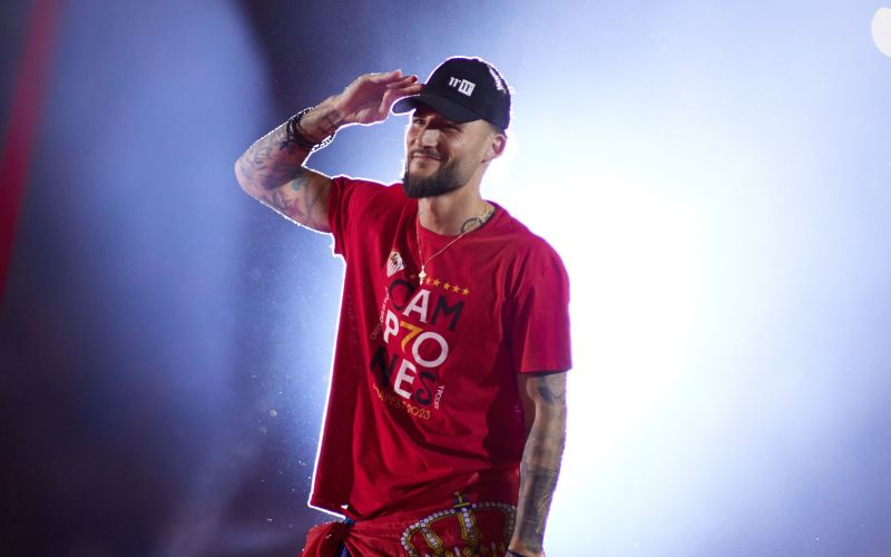 nemanja gudelj.jpg