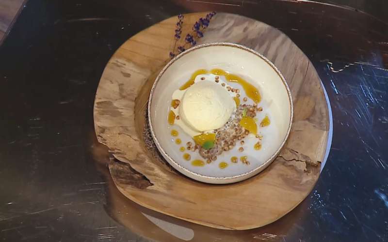 sivkin-sladoled, masterchef, zala