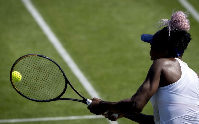 venus williams .jpg