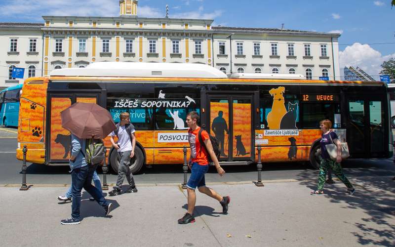 avtobus.jpg