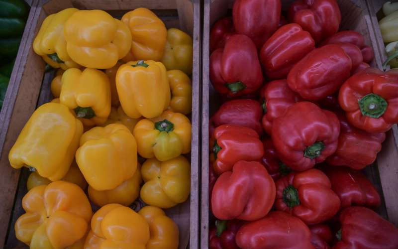 simbolična, zelenjava, vrtnine, paprika, paprike