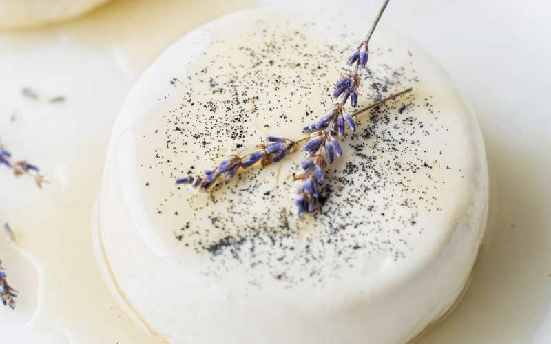 panna-cottas-sivko-in-vaniljo