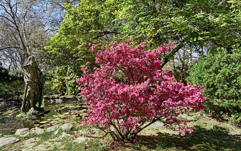 PPnaslovna-maj23.jpg