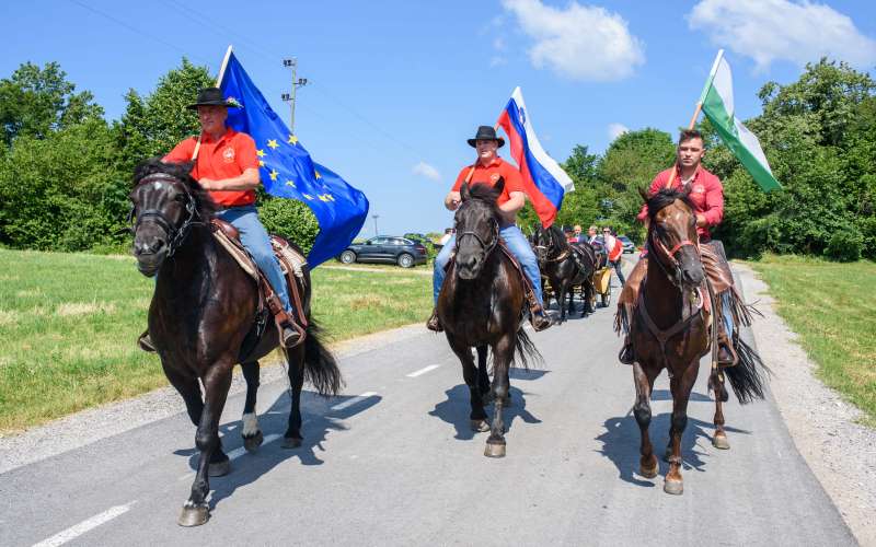 _polzevo__01_.jpg