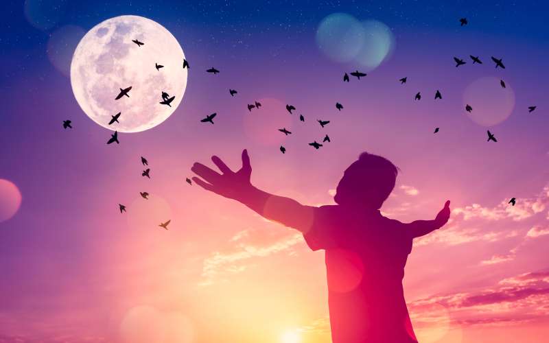 Polna luna