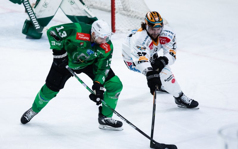 pance linz 23lv.JPG