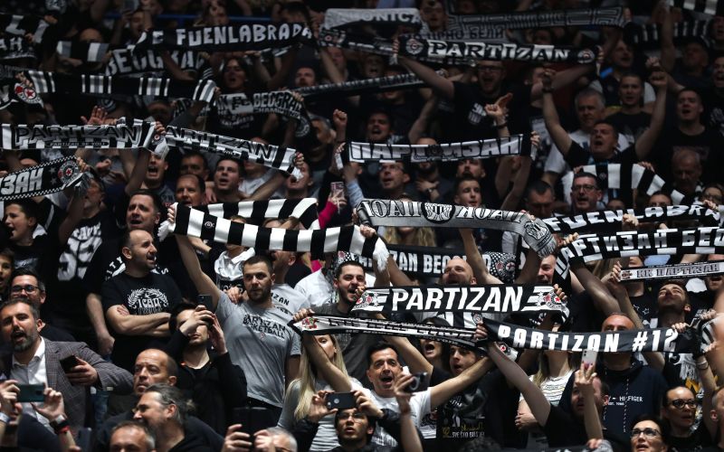 grobari partizan