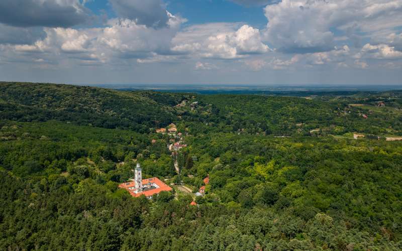 Fruška gora_Aleksandar Milutinović.jpg