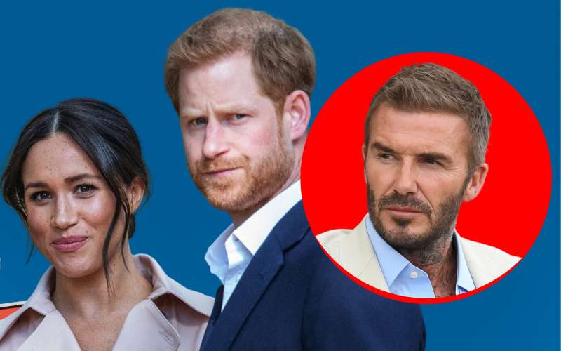 Harry , Meghan in David