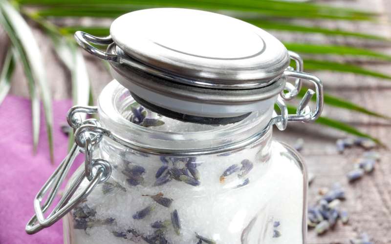 sivka, lavanda, lavandula
