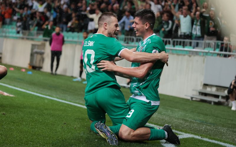 elsnik seslar olimpija.JPG