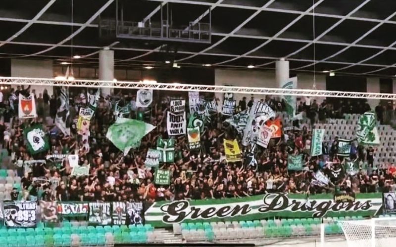 green dragons.jpg