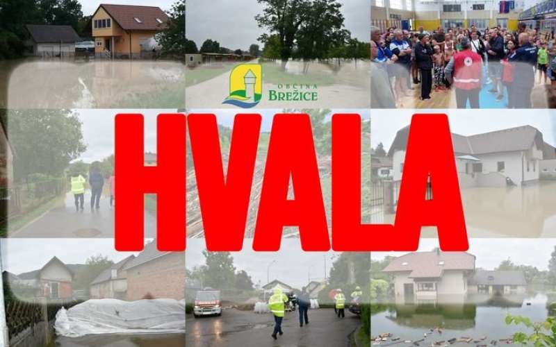 _zhvala.jpg