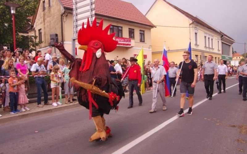 s_jernejevopetelin.jpg