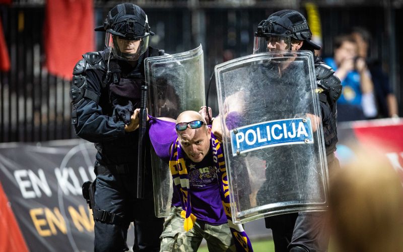 navijac maribor viola.jpg