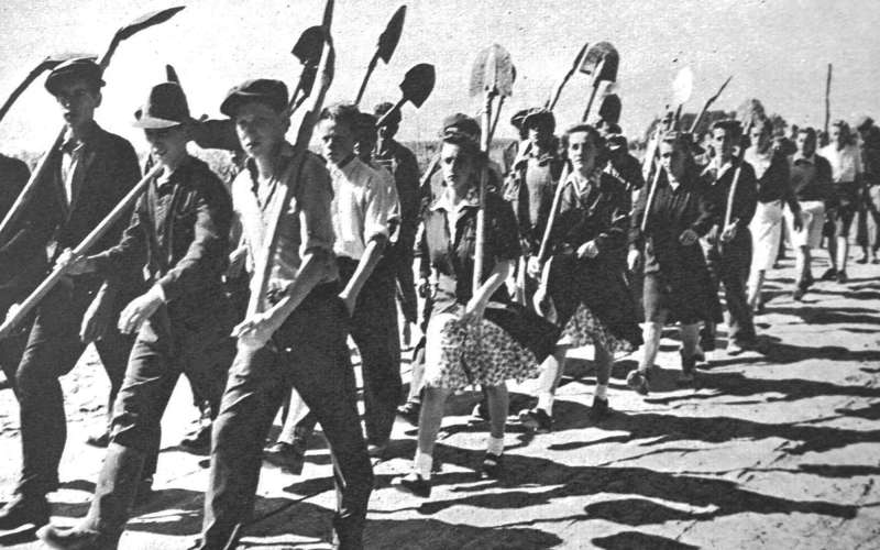 delovne-brigade