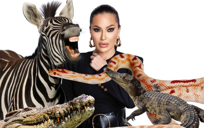 Ceca je jedla vse živo ... Razen te živalce ...