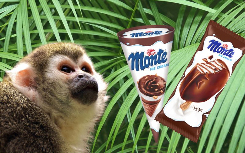 monte 1.png