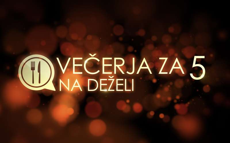 VZ5_Logo_2_Preview.jpg