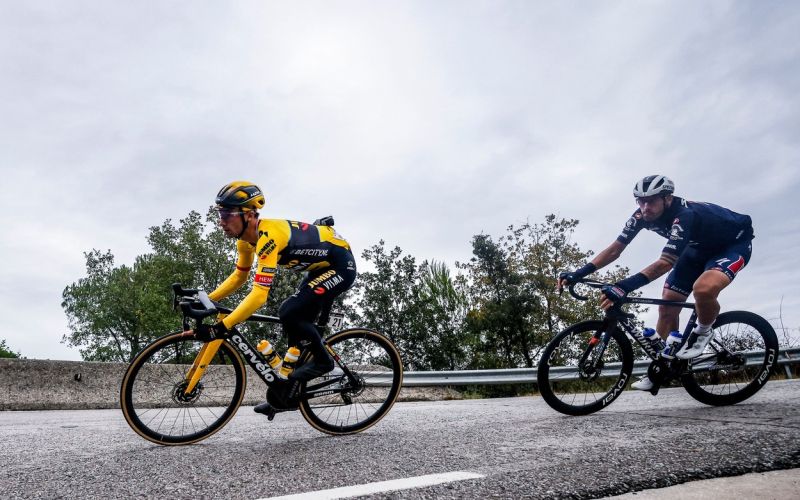 roglic (2).jpg