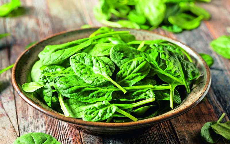 janin vrt spinaca - shutterstock.jpg