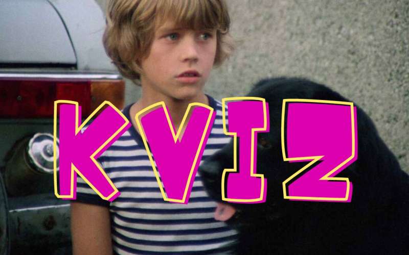 kviz.jpg