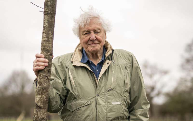 david-attenborough