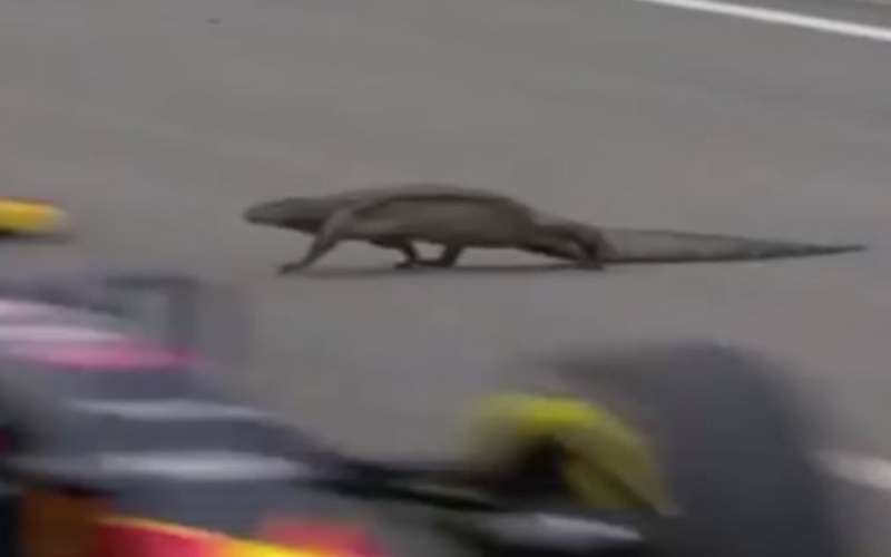 varan, formula 1, singapur.jpg