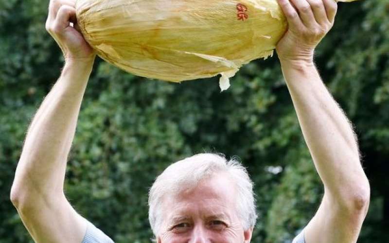 gareth griffin, čebula velikanka.jpg