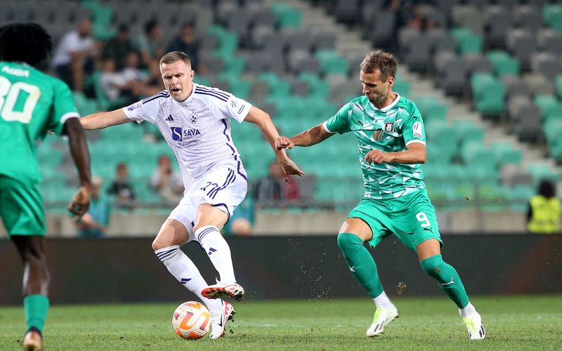 ilicic 1.jpg